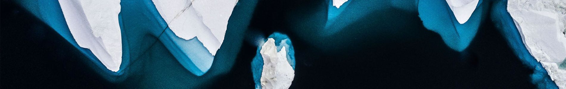 Win MORTEN's 'Polar' merchandise!