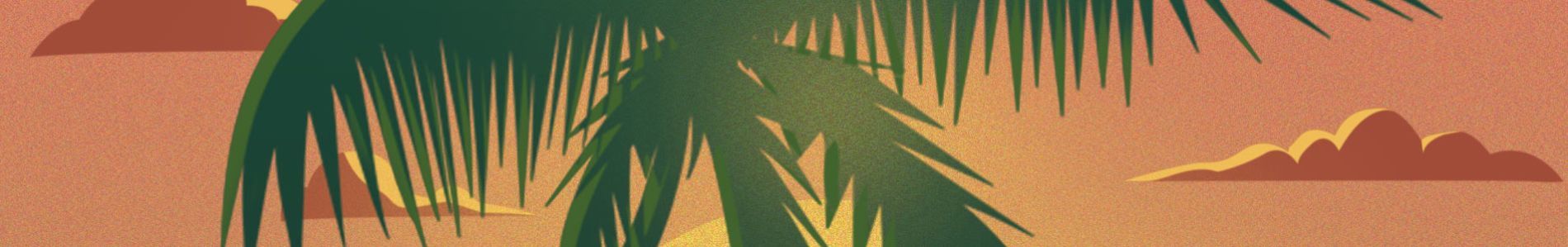 Sam Feldt x Lucas & Steve ft. Wulf ‘Summer On You’