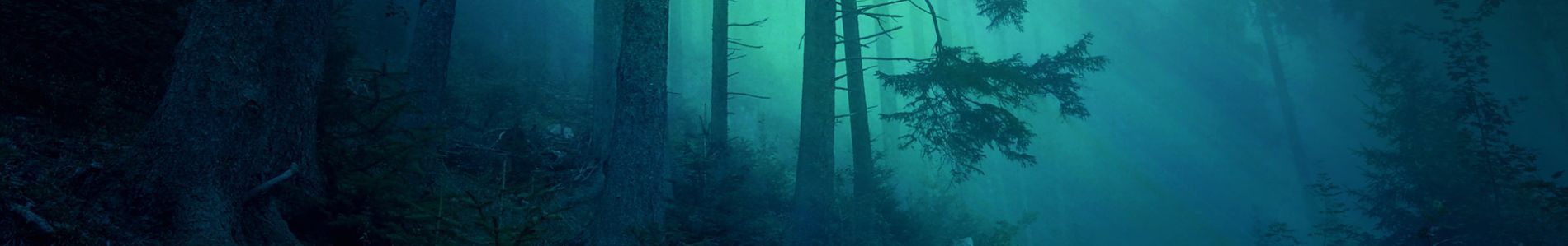 Saga header