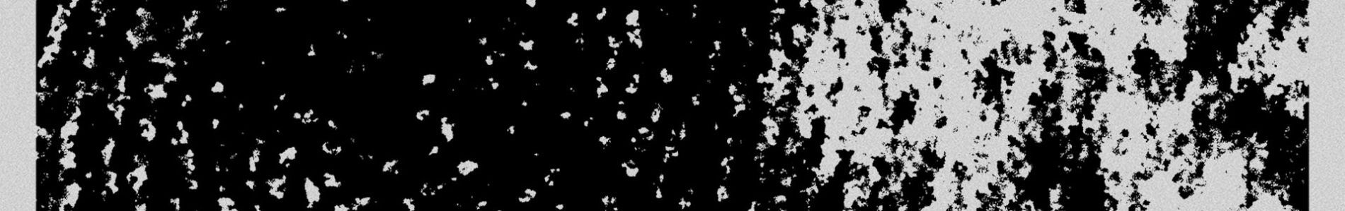 Zhong header