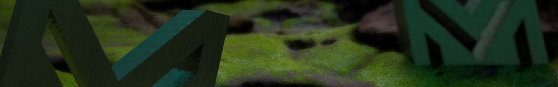 Avalon header