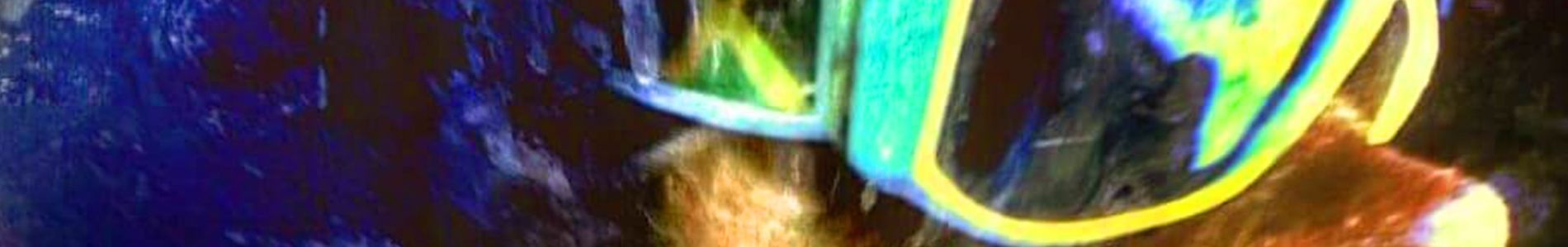 Bombaclat header