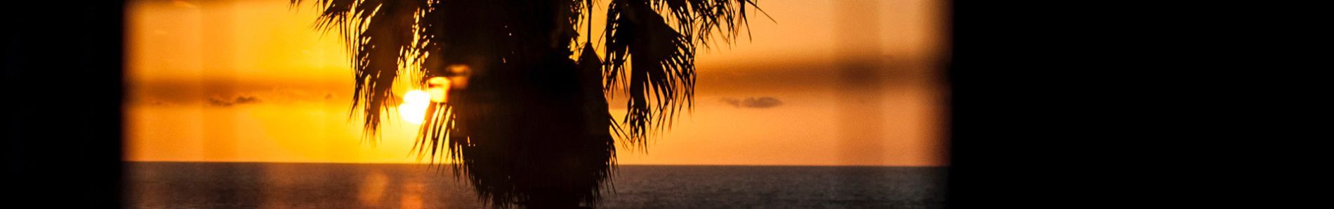 West Coast Party header