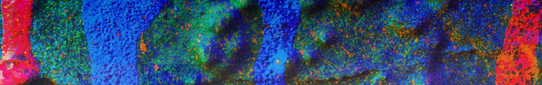 Clubtrack header