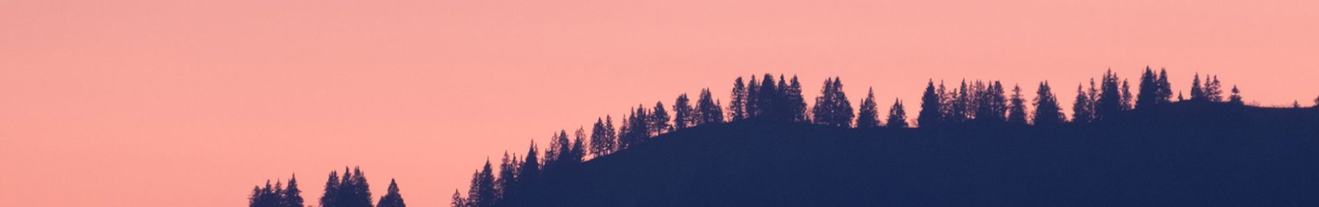 Paradise header