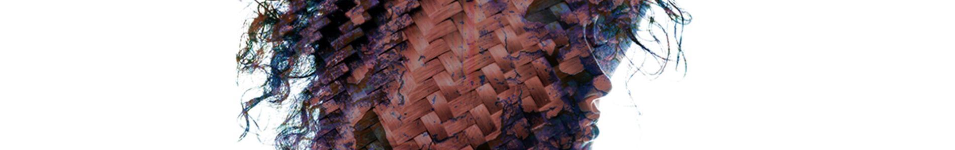 HIPPO header
