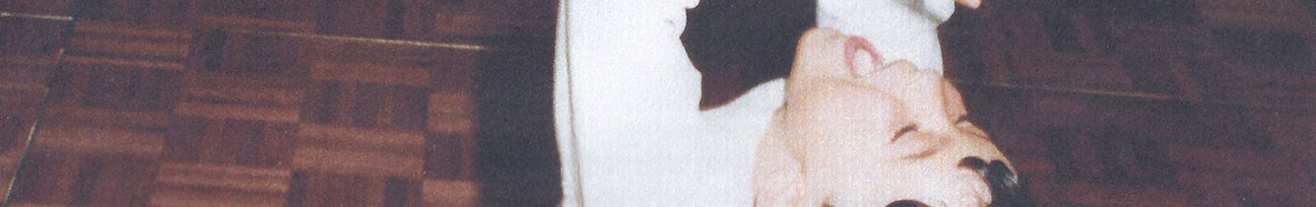 Dance With Somebody header