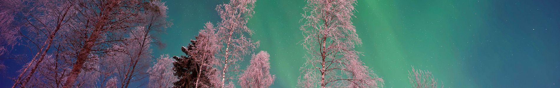 Off The Grid header