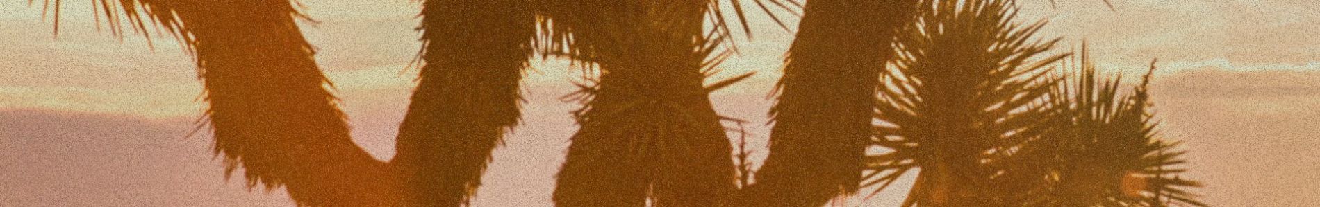 California header