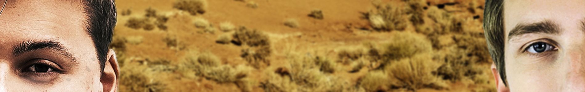 Wait Another Day header