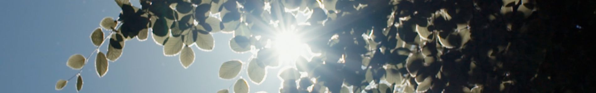 Lost Art header