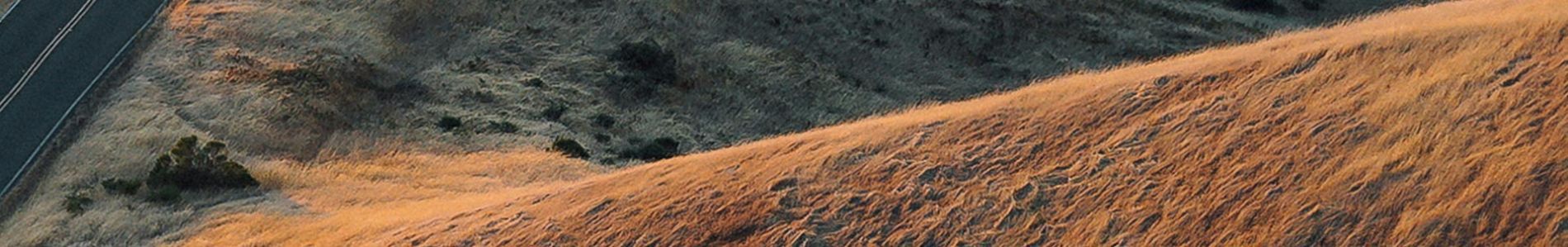 Finding Out More (EDX’s Acapulco At Night Remix) header
