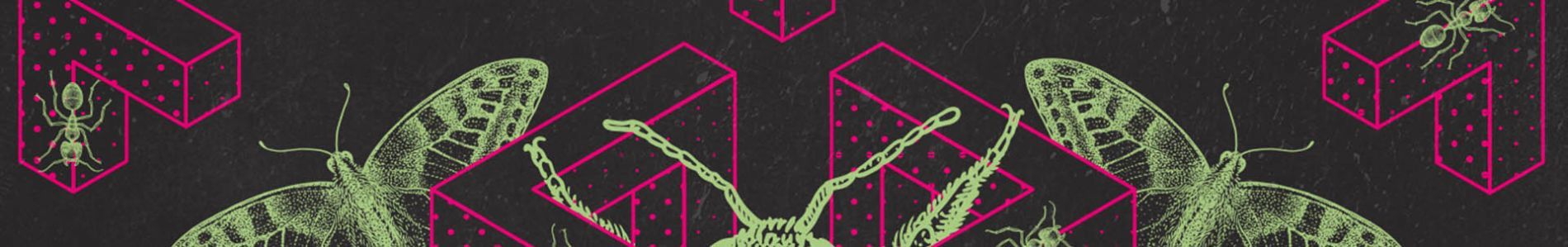 Bug A Boo header