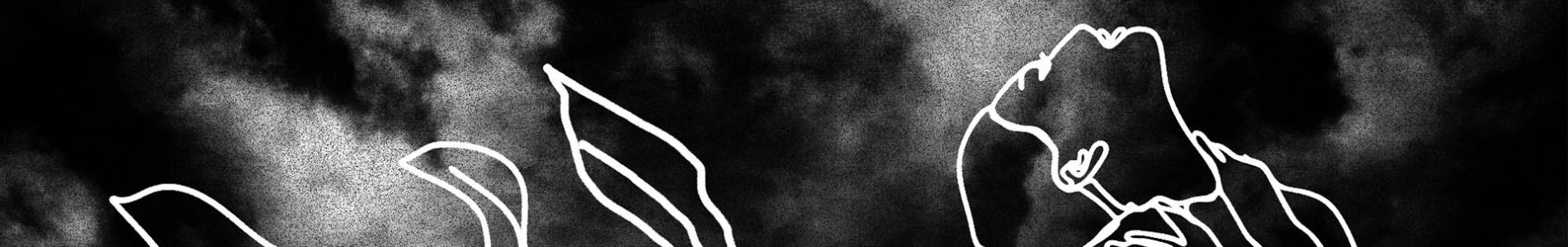 In The Dark header