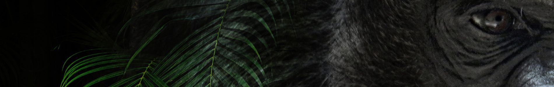 Gorilla header