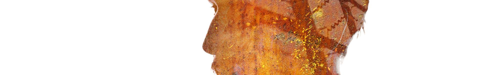 Take The Ride header