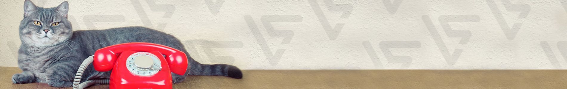 Calling On You header