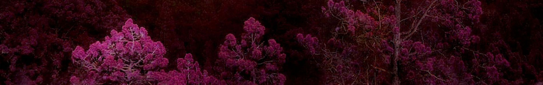 Porque Me Voy header