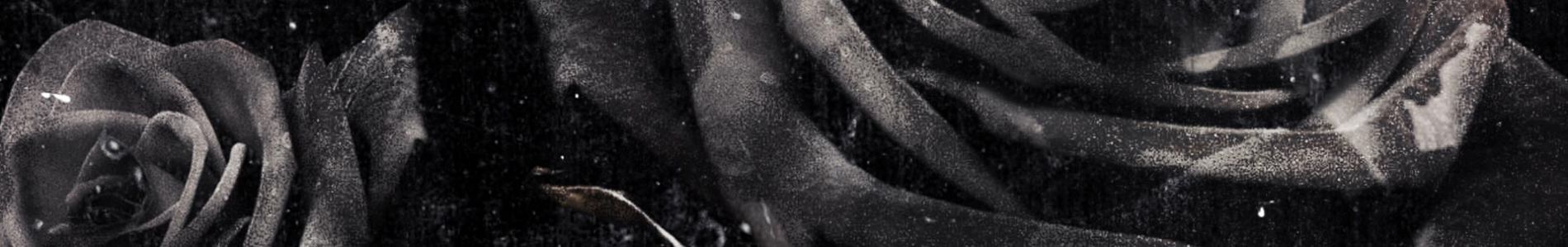 Black Rose header