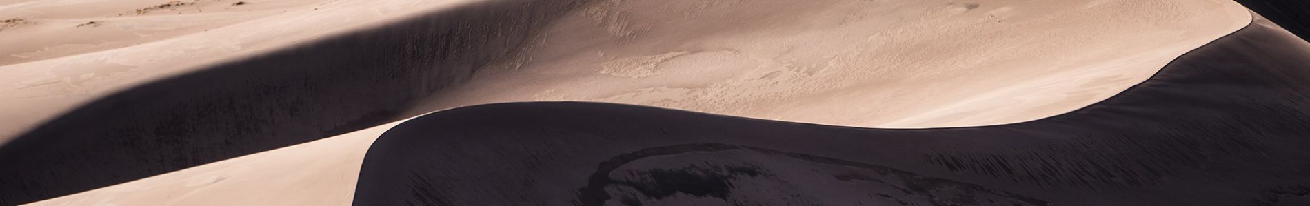Everything Changes header
