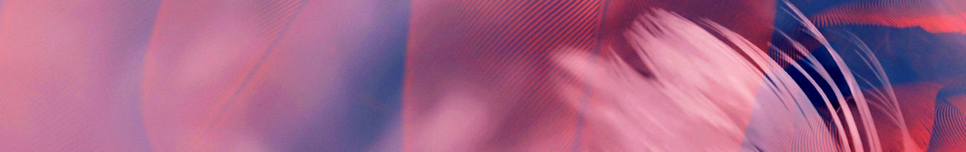 Pillowfight header