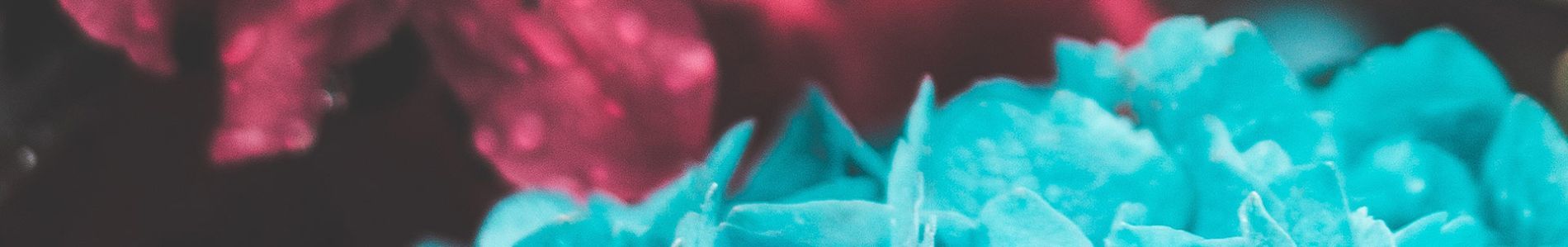 Beautiful War (Col3man Remix) header