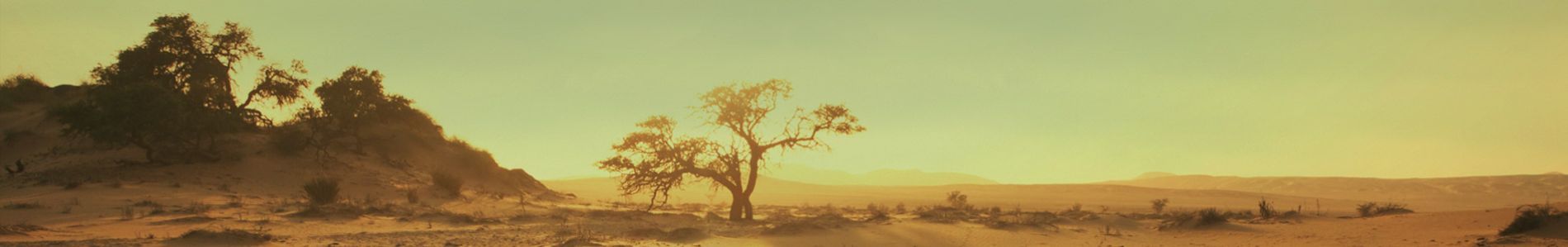 Take Me Down header