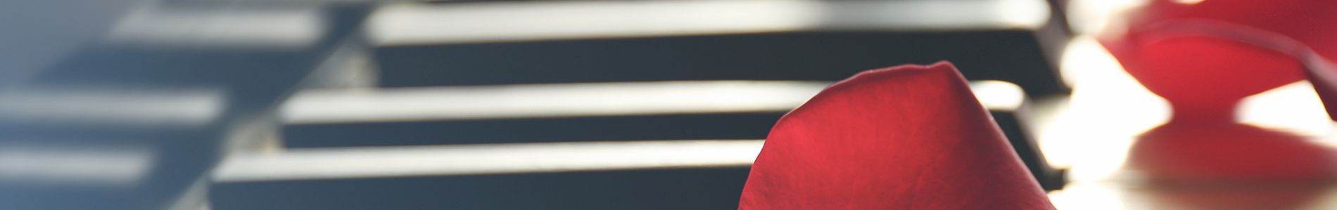 White Keys header