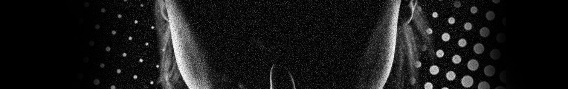DYSYLM header