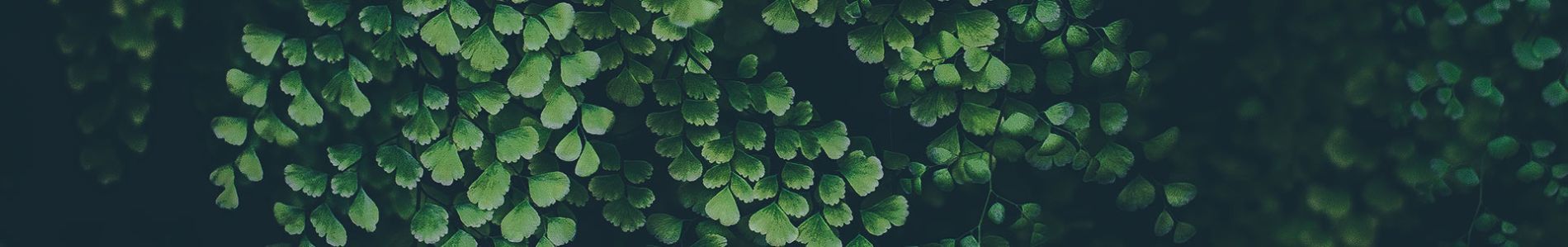 Every Little Thing header
