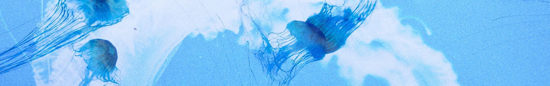 In Too Deep header