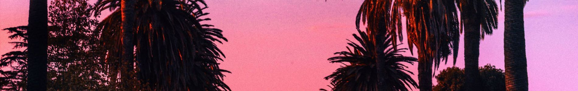 Not About You header