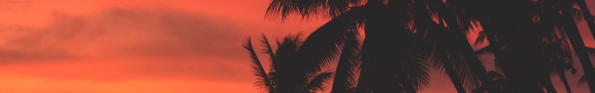 All I Wanna Do header