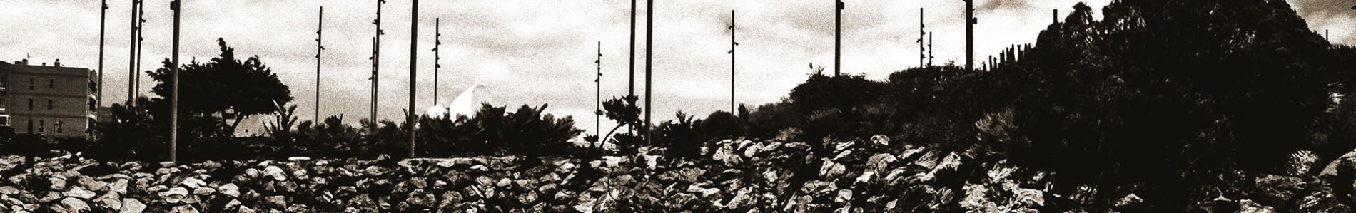 Everywhere I Go header