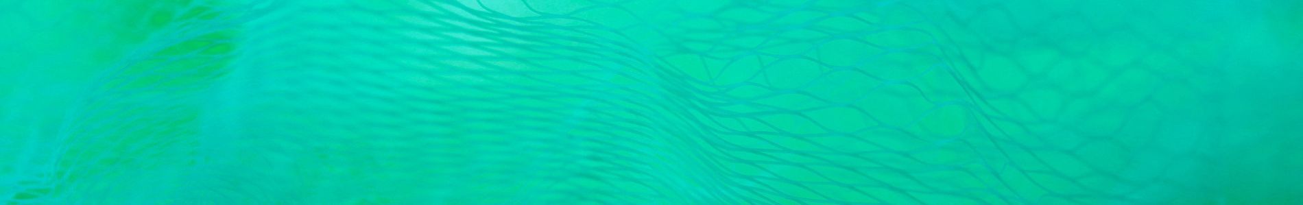 The Way header
