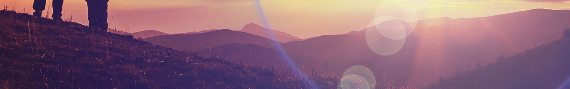 These Heights header