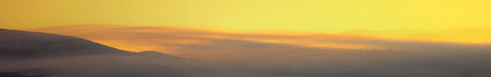 Dreams header