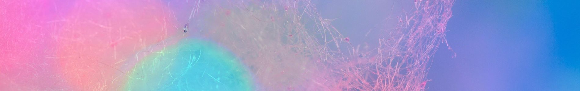 Come On Sugar header