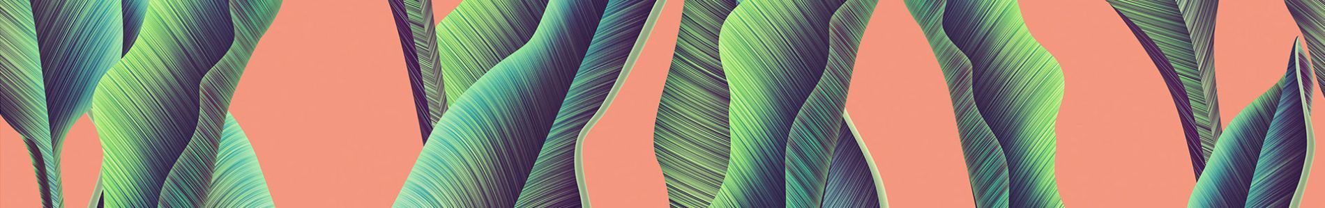 Wild Heart header