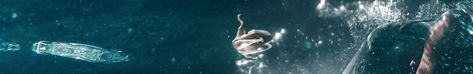 Echo (No Mondays Club Mix) header