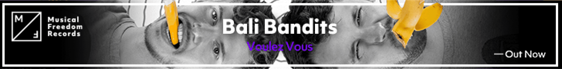Voulez Vous header