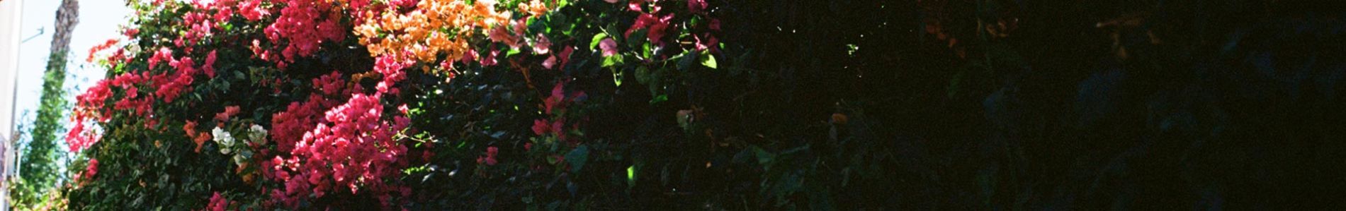 Beautiful Disaster EP header