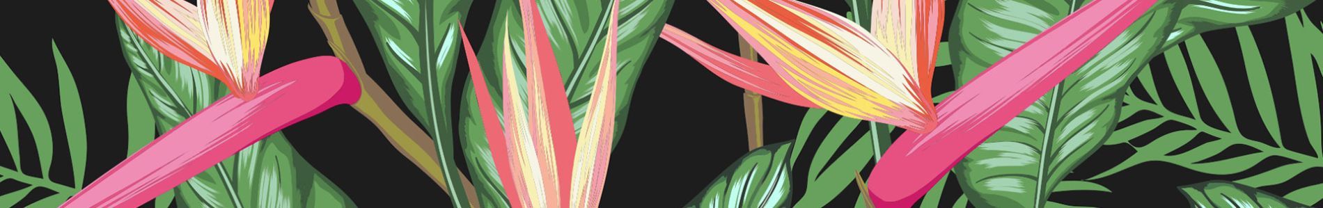 Donde Vas (Latin Village 2017 Anthem) header