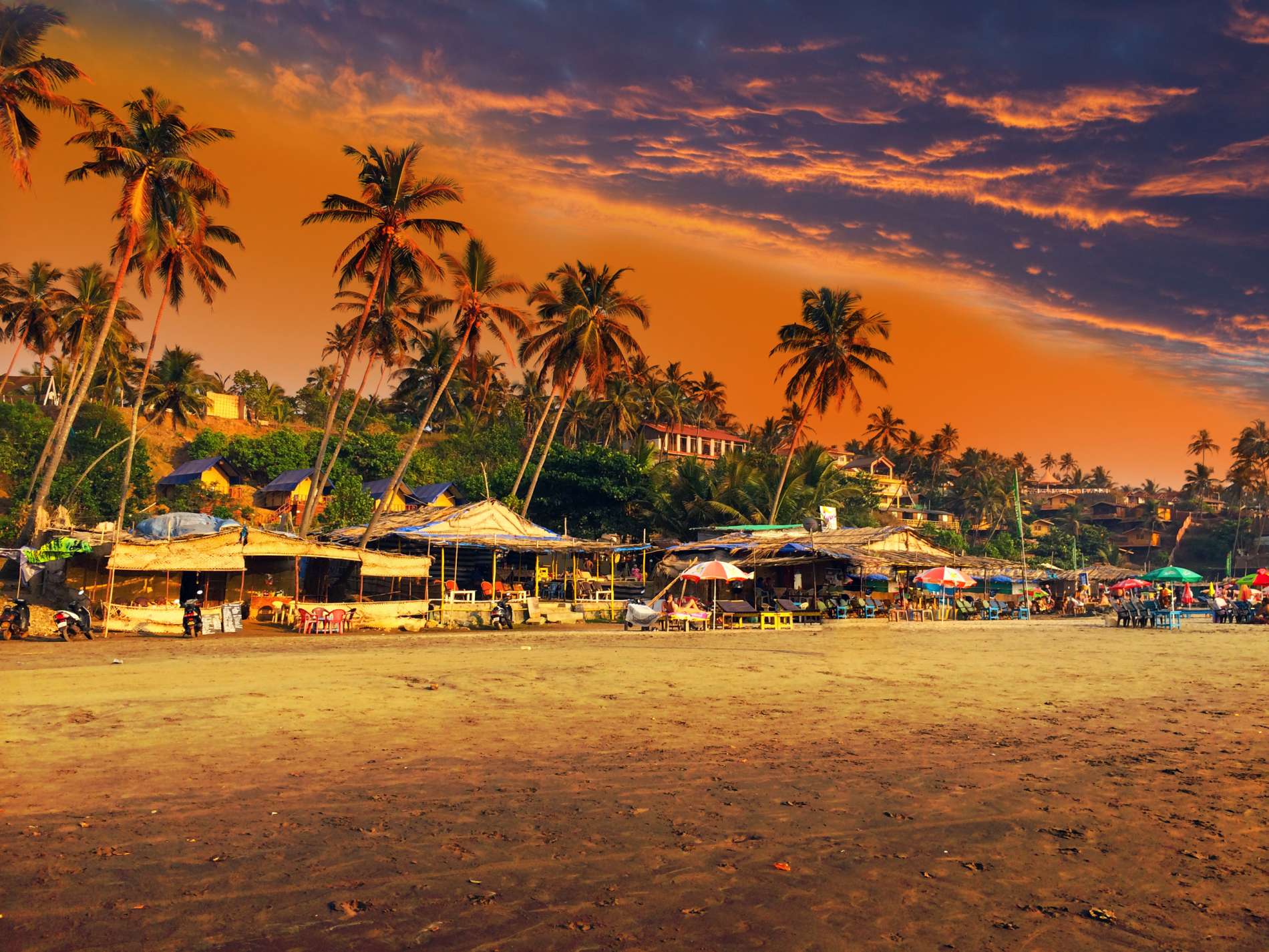 Take a look at Spinnin' Sessions at Sunburn Festival Goa
