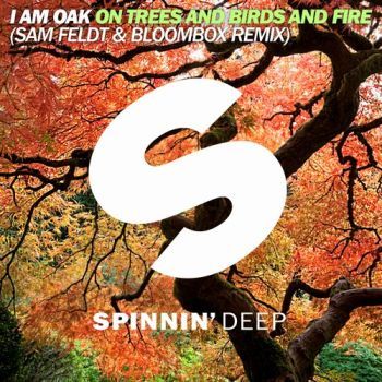 On Trees And Birds And Fire (Sam Feldt & Bloombox Remix)
