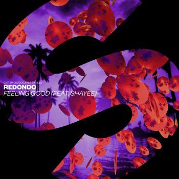 Feeling Good (feat. Shayee)