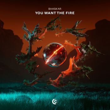 You Want The Fire