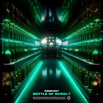 Bottle of Bubbly