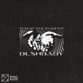 What We Had EP