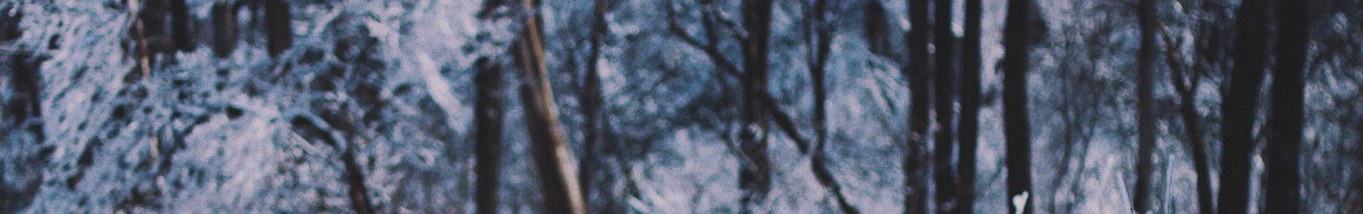 Mixtape alert: SOURCE brings winter soundtrack
